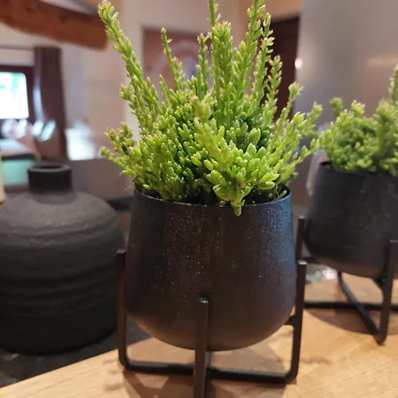 Aignerhof Appartement *