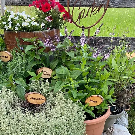 Daire Aignerhof Flachau