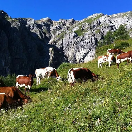 Апартаменты Aignerhof Флахау