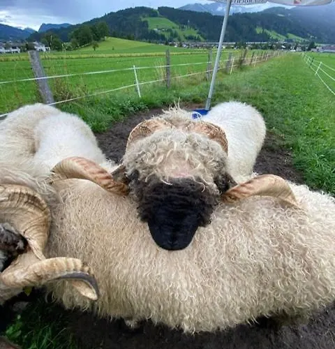 Aignerhof Apartman *