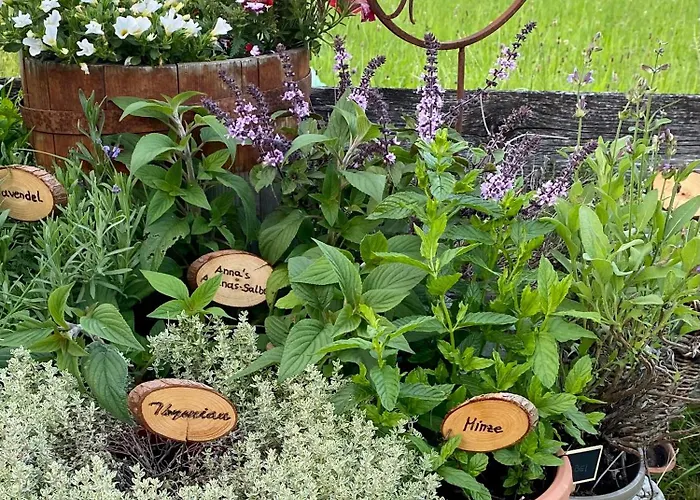 Daire Aignerhof Flachau