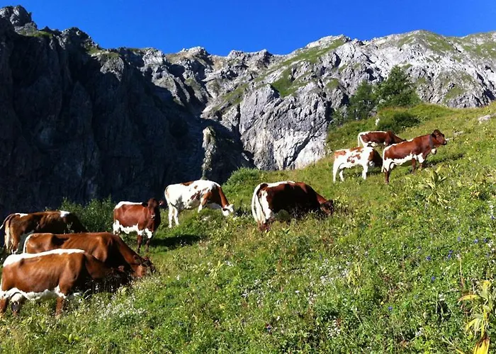 Daire Aignerhof Flachau